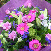 Purple Magenta