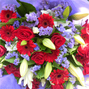 Romantic Romeo