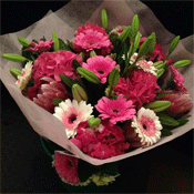 Pink Passion